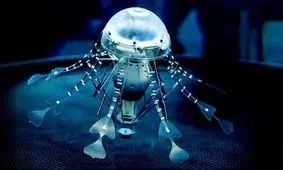 نسل جدید عروس‌های دریایی با توانایی‌های خاص!