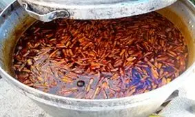 قدمت نذری میرزامحمد به بیش از نیم قرن رسید