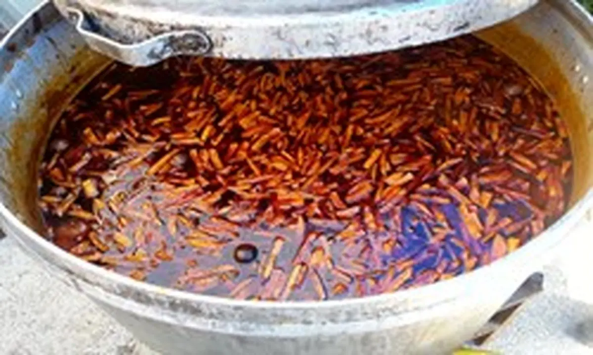 قدمت نذری میرزامحمد به بیش از نیم قرن رسید