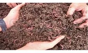 روشی مناسب برای بهبود خاک