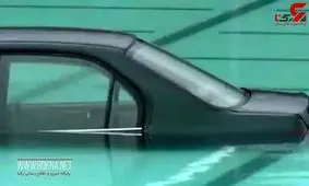 پارک خودرو در داخل استخر توسط راننده ناشی! +فیلم