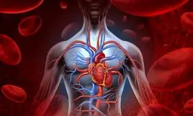 «روزه‌داری» چگونه جلوی پیری را می‌گیرد؟