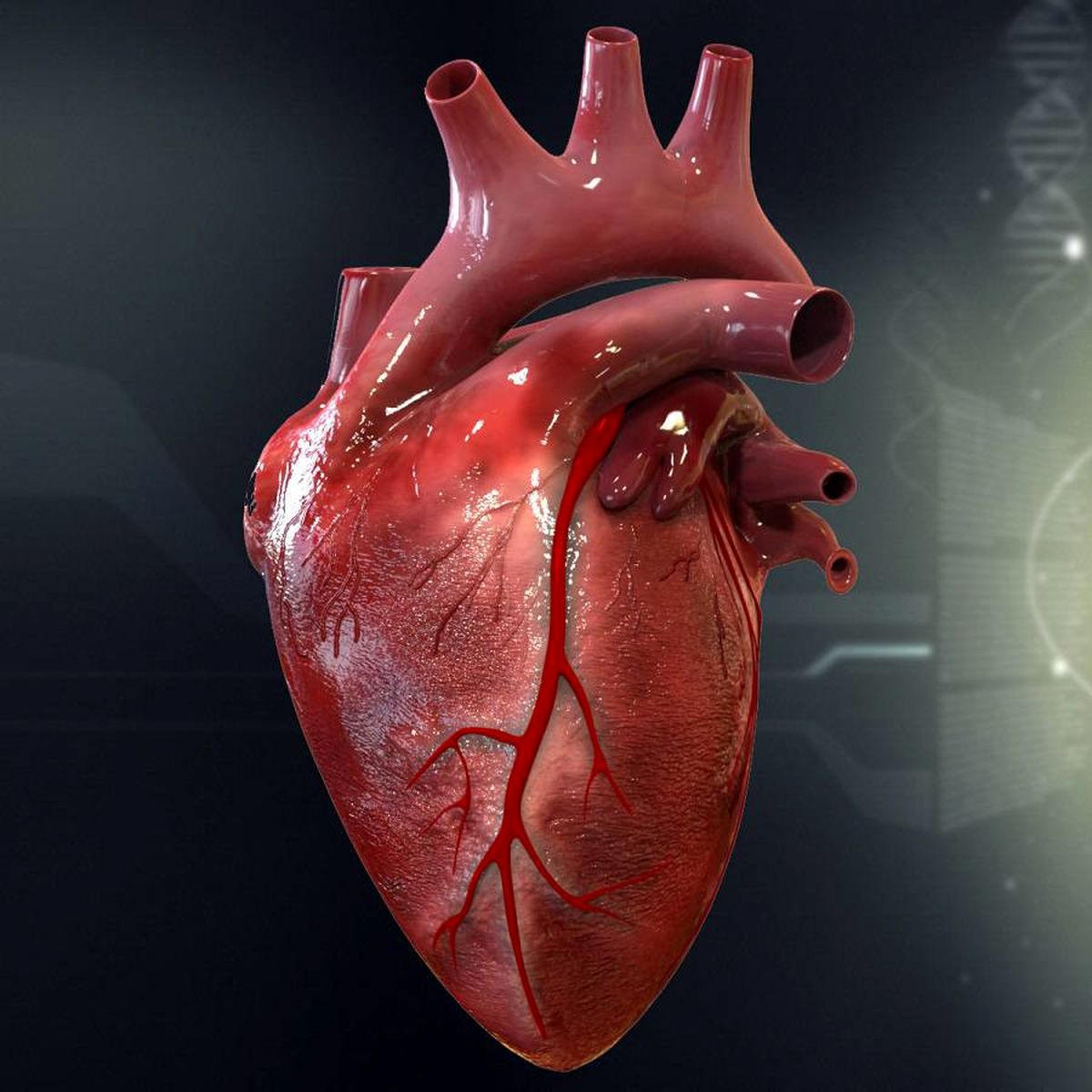 این عوامل به شما می گوید که مبتلا به بیماری قلبی هستید