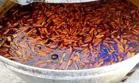 قدمت نذری که به بیش از نیم قرن رسید