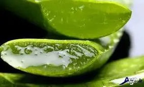 چکونه زخم بستر را در خانه درمان کنیم؟