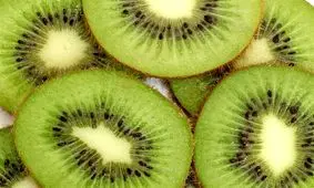 صادرات کیوی از نیمه مهر آزاد می‌شود