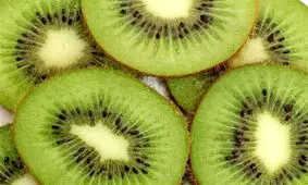صادرات کیوی از نیمه مهر آزاد می‌شود