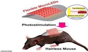 شیوه جدید دانشمندان برای درمان افراد کچل در 15 دقیقه