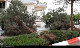 خسارت طوفان در ۵ شهرستان استان گلستان؛ ۶۲ خانوار آسیب دیدند