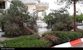 خسارت طوفان در ۵ شهرستان استان گلستان؛ ۶۲ خانوار آسیب دیدند