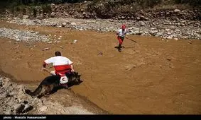 ۱۳ خودروی گرفتار در گل و لای جنگل ابر شاهرود رهاسازی شد/امدادرسانی به ۳۲ حادثه‌دیده