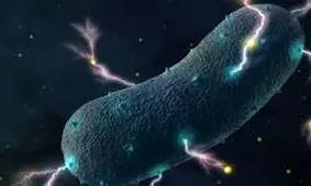 باکتری که قادر به تولید برق است