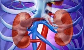 آیا می‌شود کلیه‌ها را در عرض ۳ روز پاکسازی کرد؟