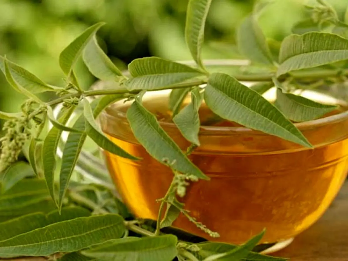 با این شربت از شر یبوست خلاص شوید