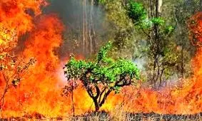 آتش سوزی منطقه آبزا چوار مهار شد