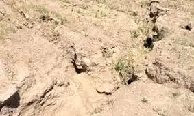 فرونشست زمین در تهران کند شد