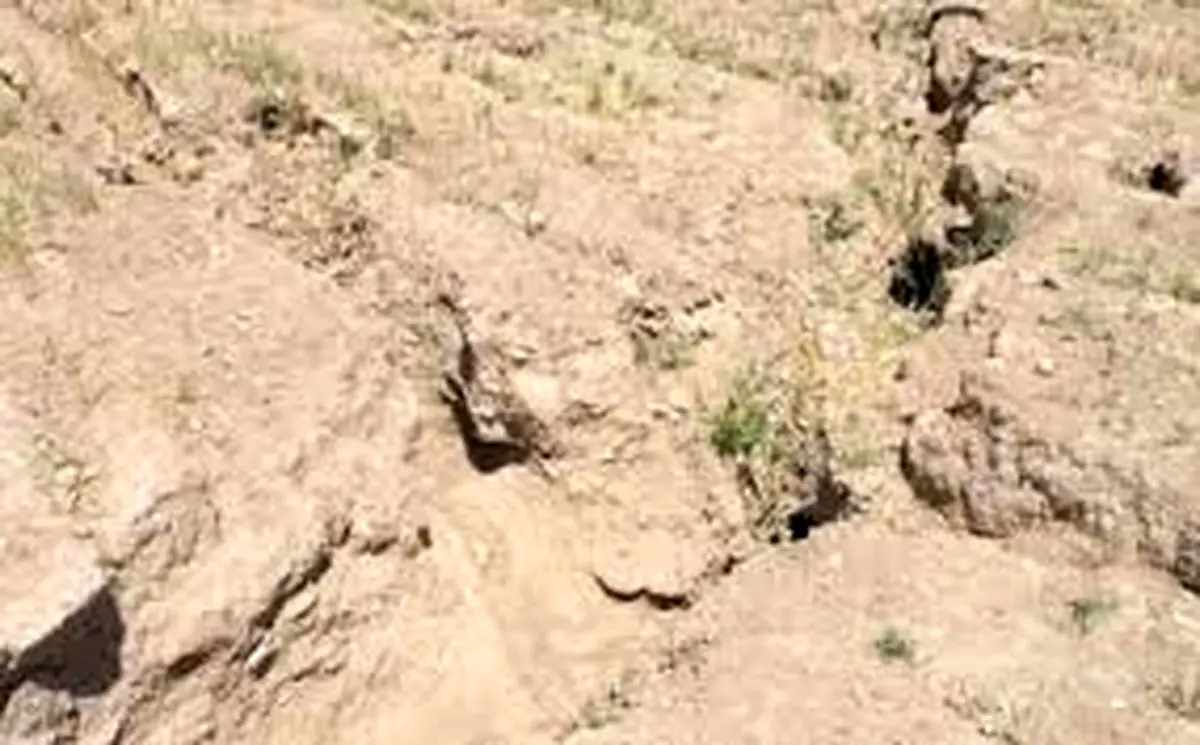 فرونشست زمین در تهران کند شد