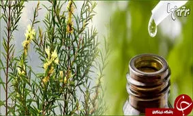 فوایدی روغن درخت چای که نمی‌دانید