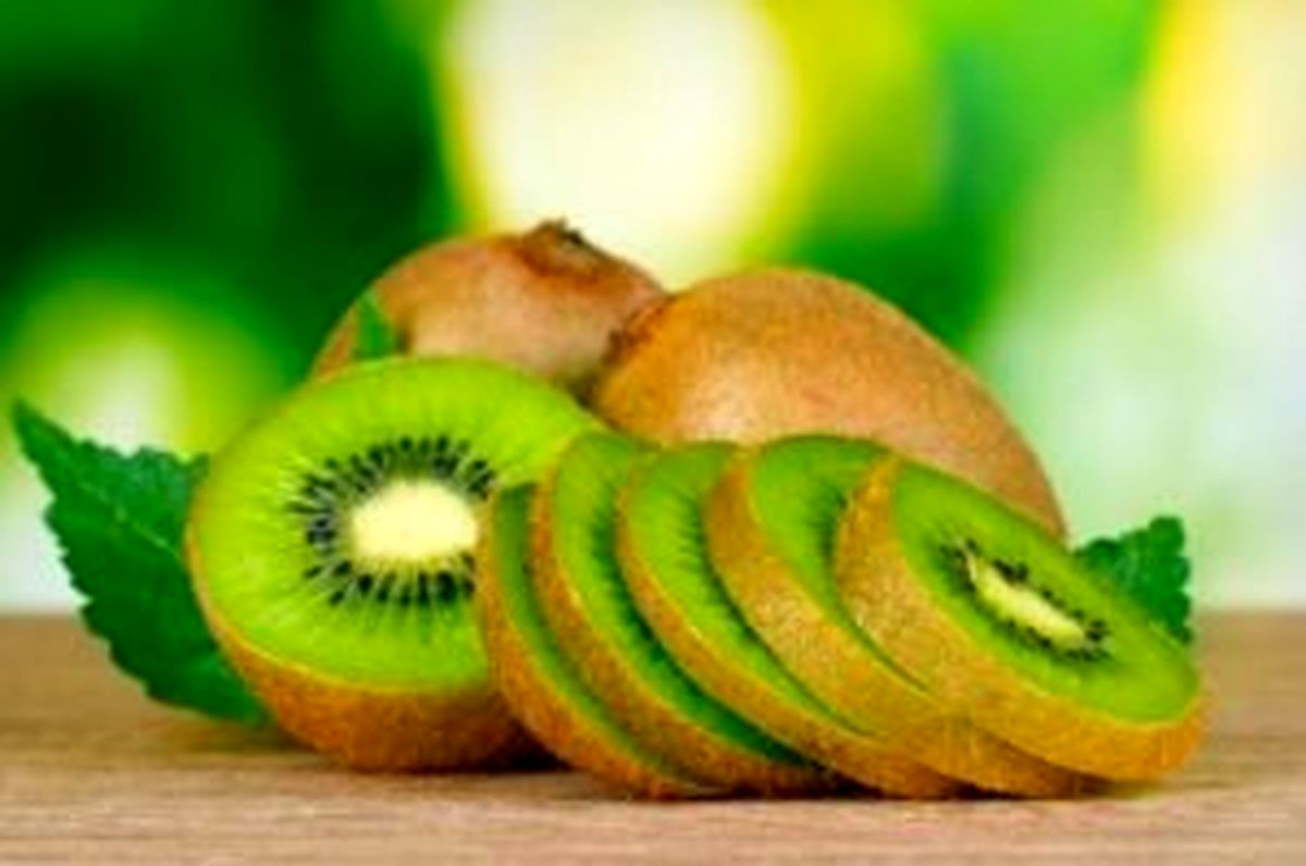 صادرات کیوی تا ۱۵ مهرماه محدود شد