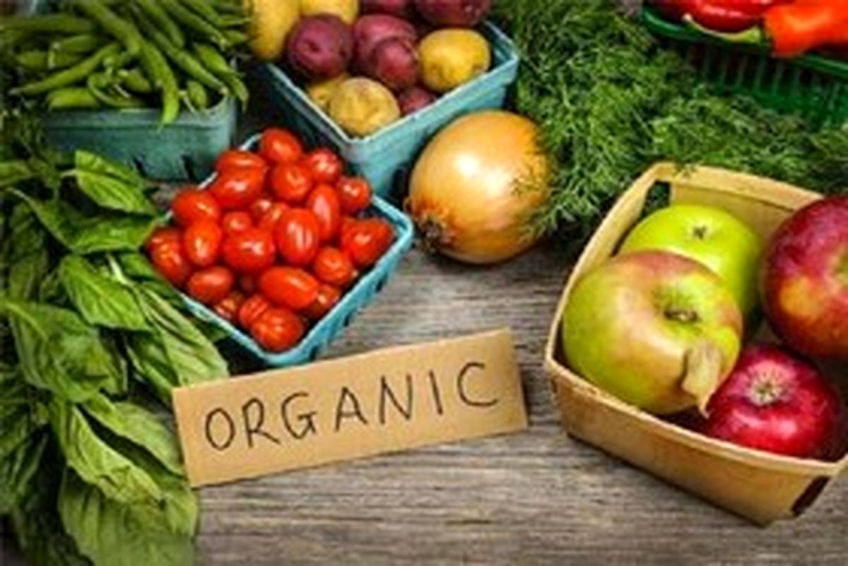 سودجویی با نام "غذای ارگانیک"/دستورالعمل وزارت بهداشت در مراحل نهایی تدوین