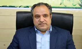 رسیدگی به پرونده تخلفات قالیباف به عهده دستگاه قضایی است/ برخی درصدند که شوراهای شهر و روستاها را منحل کنند