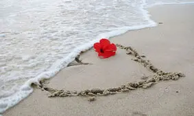 مسکن هایی برای افزایش عشق و محبت در زندگی زناشویی