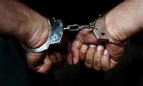 ورود این زن و شوهر به تهران ممنوع بود / پلیس هر دو را دستگیر کرد