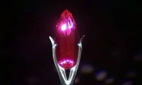 توپاز سرخ نایاب به موزه تاریخ طبیعی اسمیتسونیان اهدا شد