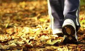 این افراد از قدم زدن روی برگ‌های پاییزی حذر کنند!