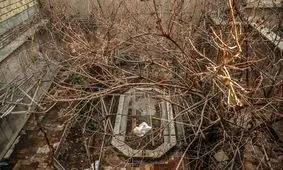 واکنش خانواده فرخزاد به ثبت خانه پدری فروغ