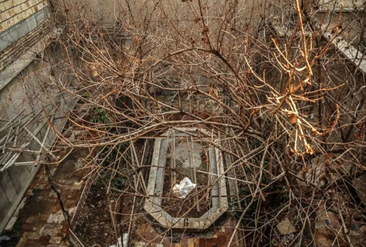 واکنش خانواده فرخزاد به ثبت خانه پدری فروغ