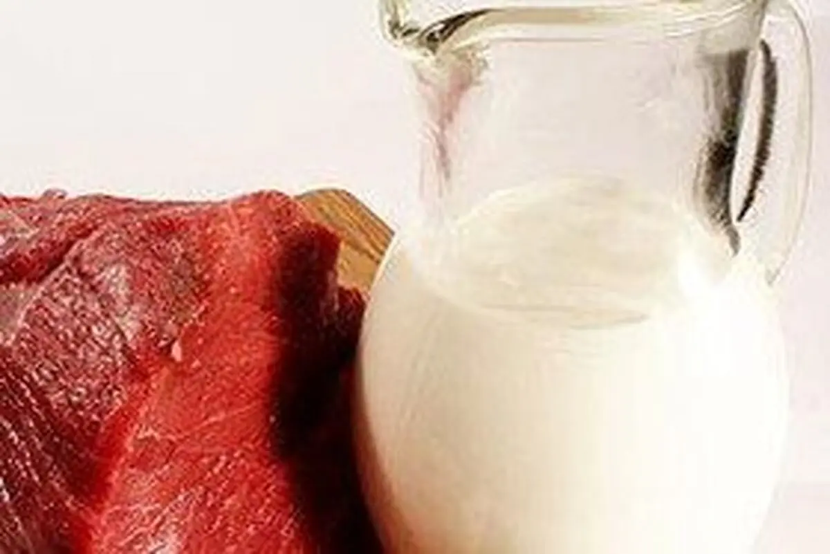 افزایش تولید گوشت قرمز و شیر در خوزستان