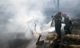 حریق 80 درخت را در شیراز سوزاند