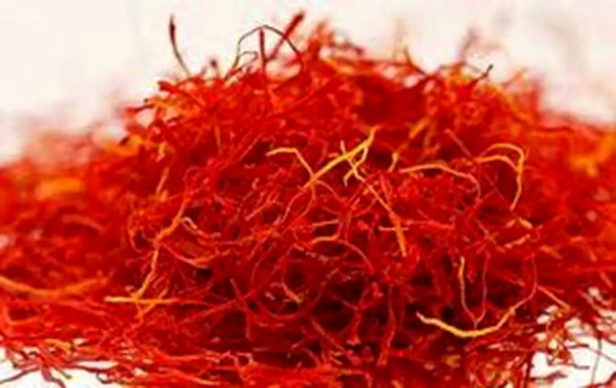 کشت زعفران در ۴ هکتار از اراضی شهرستان میانه