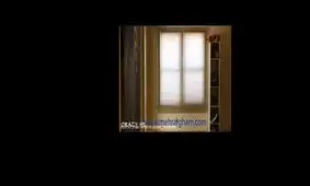 گجت پرنده امنیتی و حفاظتی