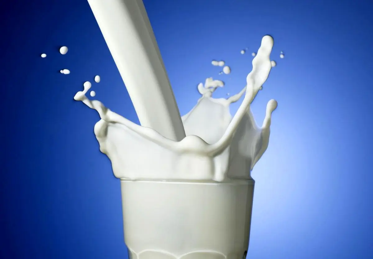 شیر تازه کم چرب با چه قیمتی در بازار عرضه می‌شود؟