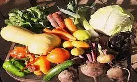 سبزیجات مناسب فصل سرد