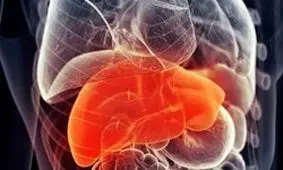 2 فرشته زمینی به 4 انسان جانی دوباره بخشیدند