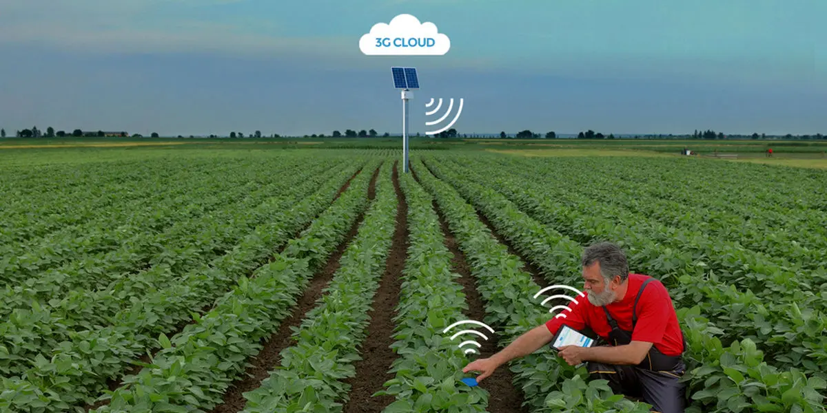 ارتقای تولیدات کشاورزی با بهره‌گیری از اینترنت اشیاء