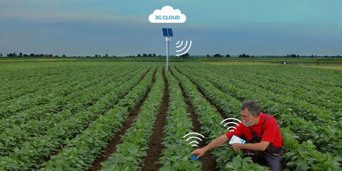 ارتقای تولیدات کشاورزی با بهره‌گیری از اینترنت اشیاء