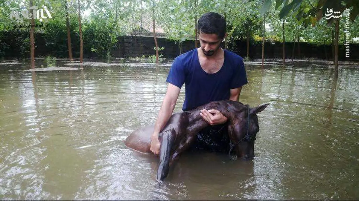 تصویری دردناک از خسارت سیل در گیلان