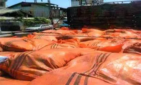 جزییات قاچاق مرغ از ایران به کشور‌های همسایه