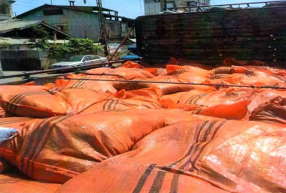 جزییات قاچاق مرغ از ایران به کشور‌های همسایه