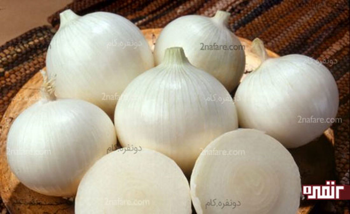 انواع پیاز و کاربرد آنها در آشپزی