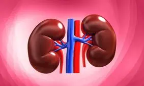 این عادات مخرب به کلیه‌ها صدمه جبران‌ناپذیر می زند