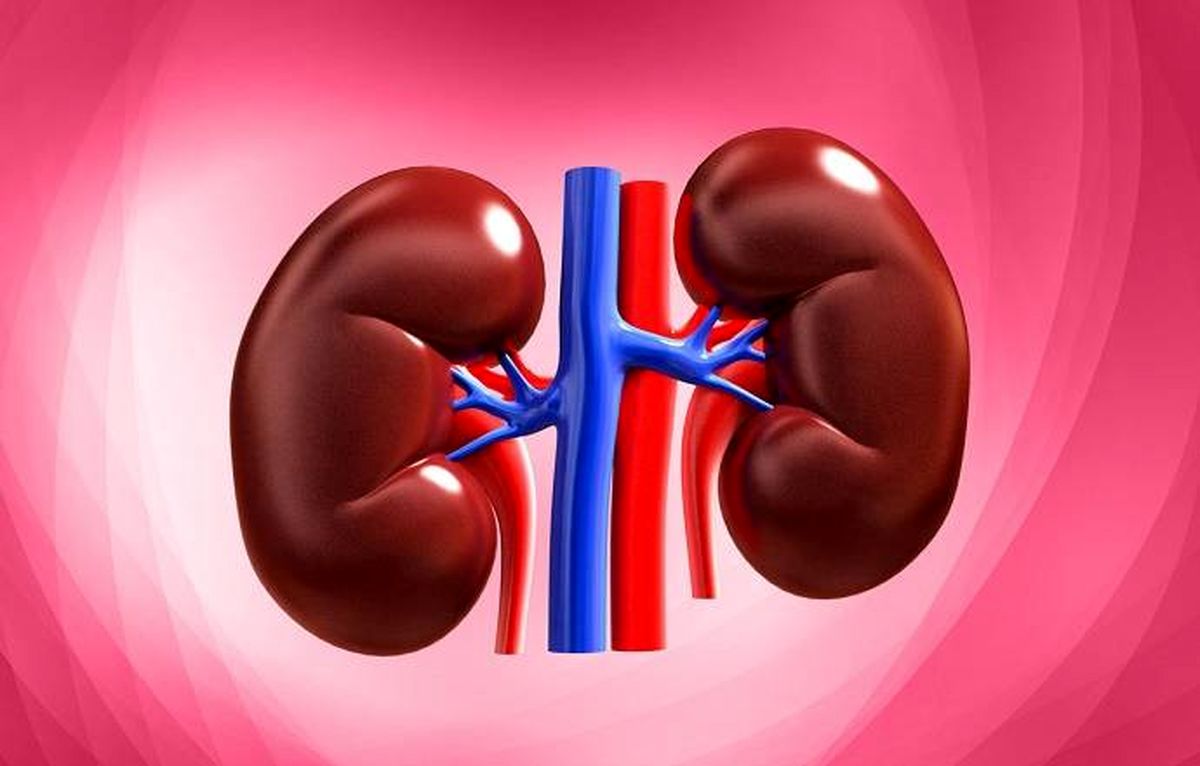 این عادات مخرب به کلیهها صدمه جبرانناپذیر می زند