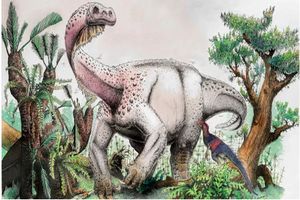 کشف دایناسوری جدید که زمانی غول پیکرترین موجود جهان بوده است