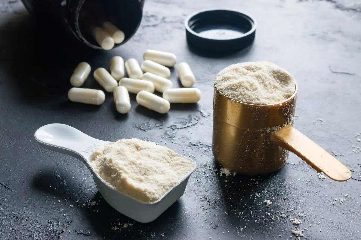 تأثیر مکمل BCAA در دوره‌های افزایش حجم و لاغری