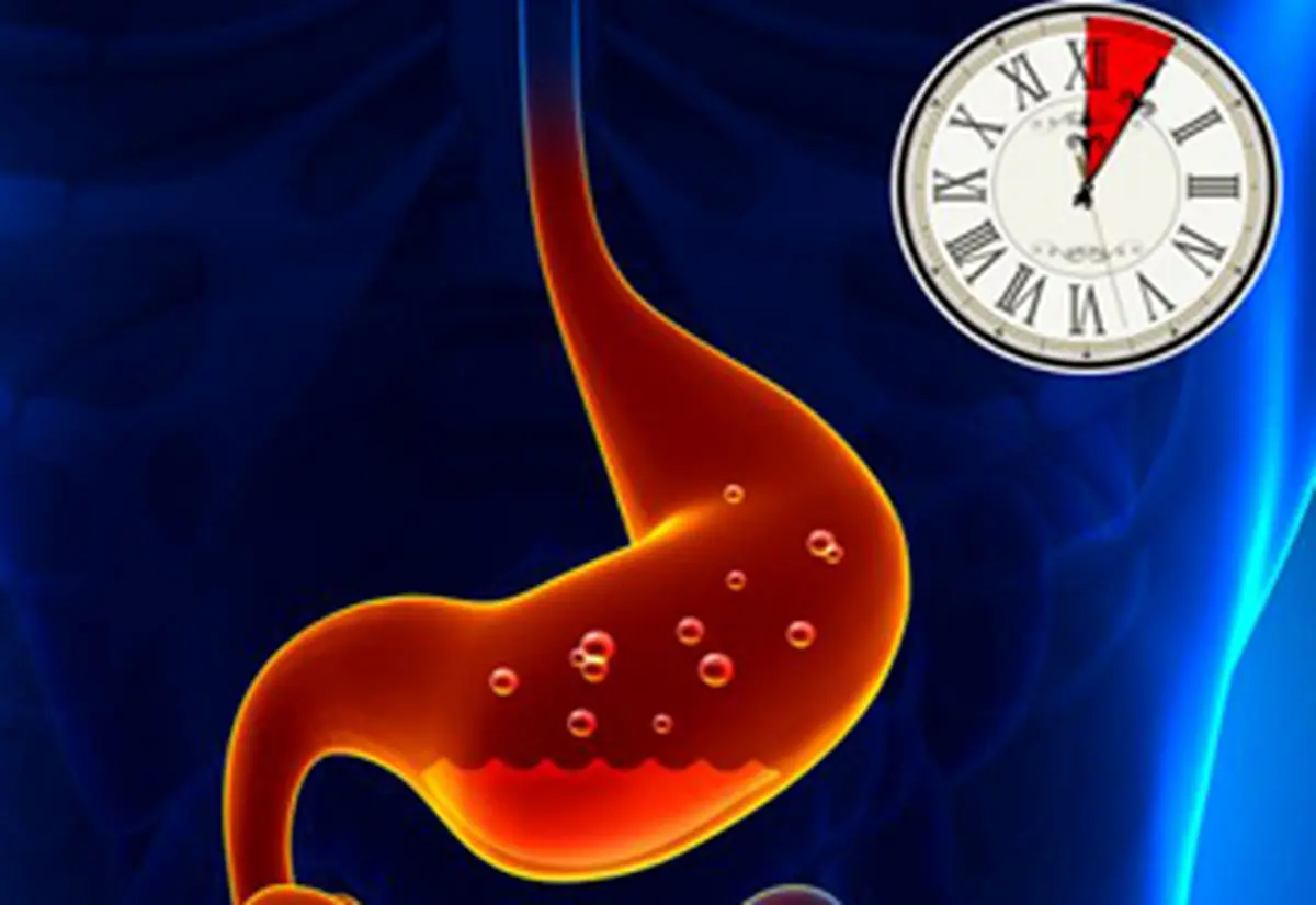 حقایقی جالب درباره مدت زمان هضم غذا که نمی‌دانستید