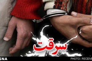 انهدام باندی که روزانه ۵ سرقت انجام می‌داد